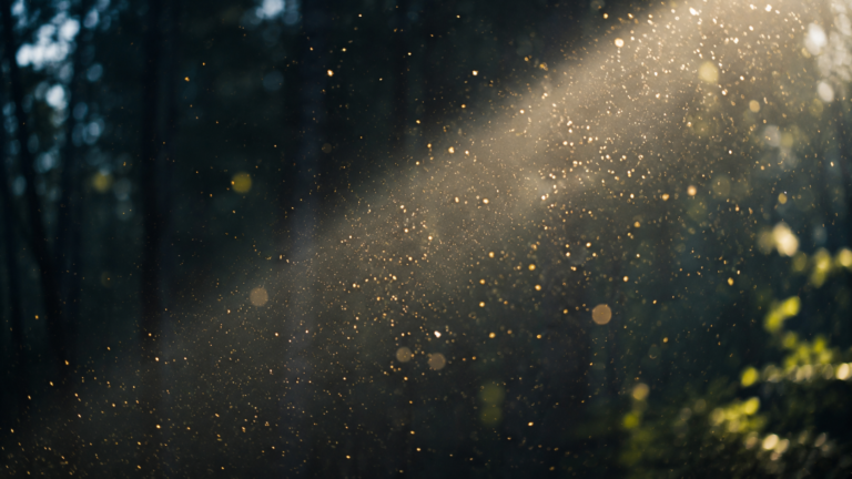 Comment faire travailler les services ensemble sans explosion